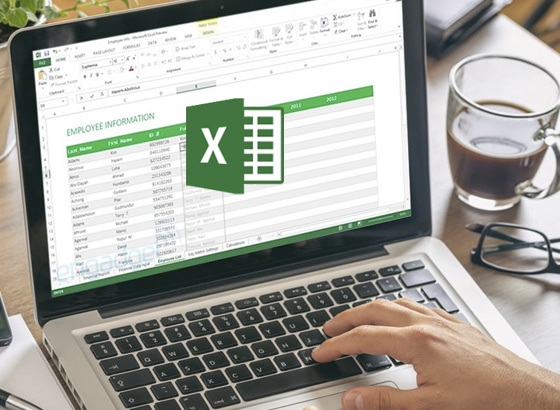 Manejo de Excel